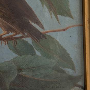 CARL BALSGAARD, olja på duk,signerad.