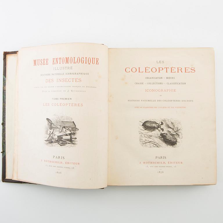 "Les Coléoptères..." & "Table Alphabetique .... Coléoptères", 2 volumes, Paris 1876 & 1875.