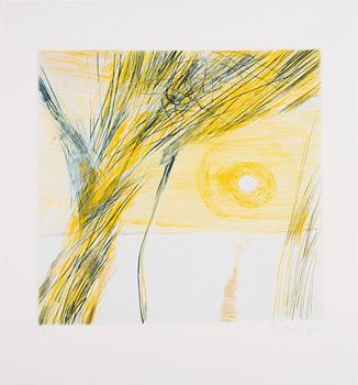 Ulf Trotzig, "King Sweeney", portfolio with nine colour etchings.