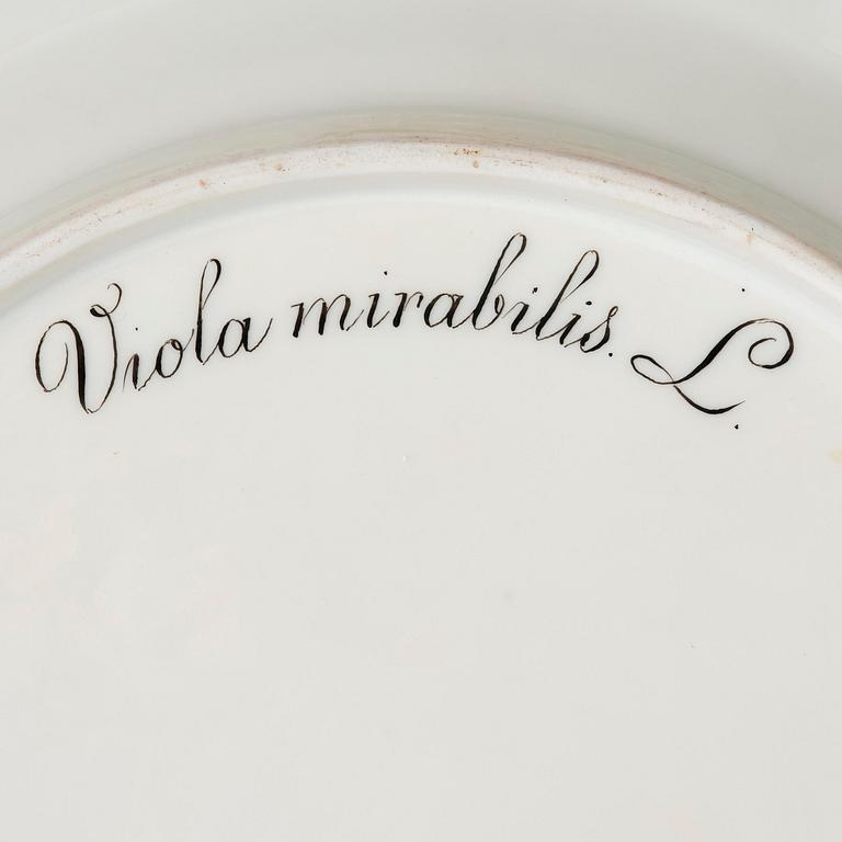 Gallerkorg med fat, porslin. 'Flora Danica', Royal Copenhagen, Denmark, 1900-tal.