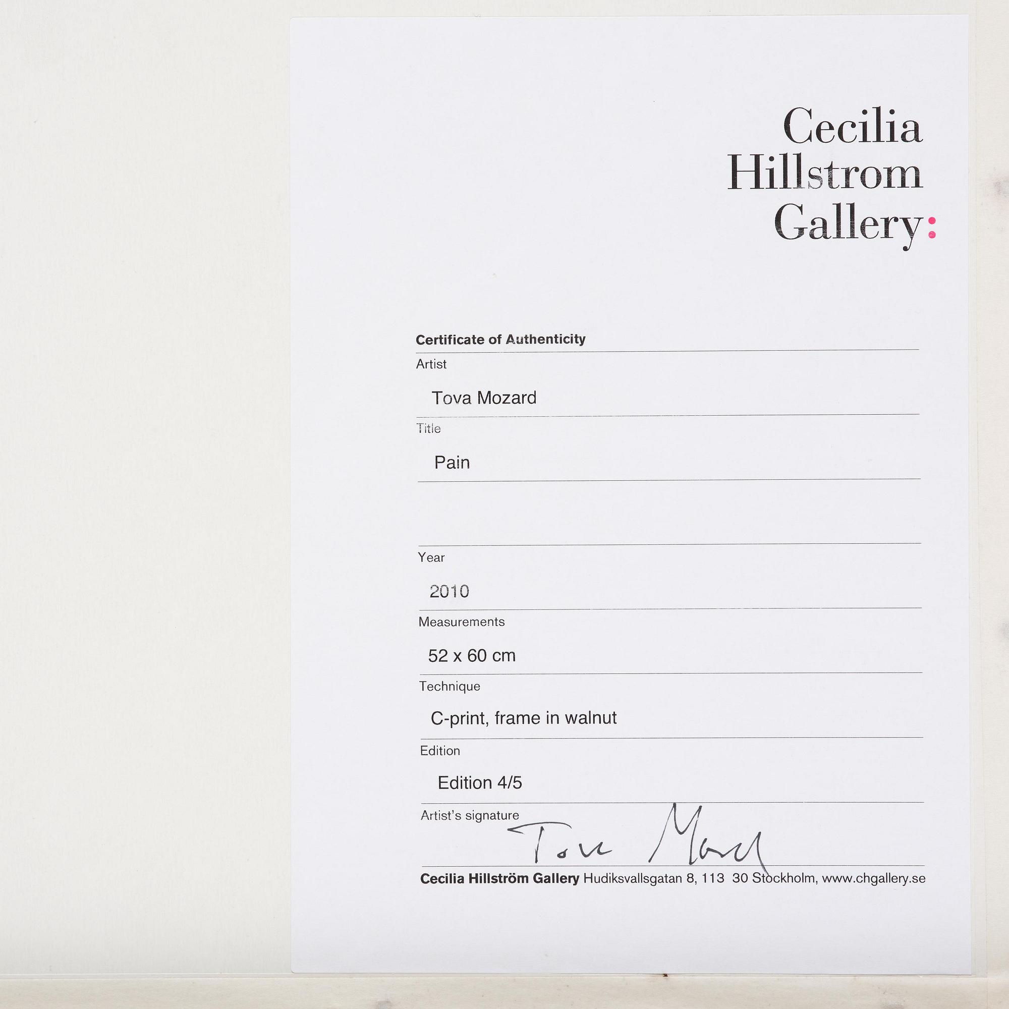 Tova Mozard, "Pain", 2010.