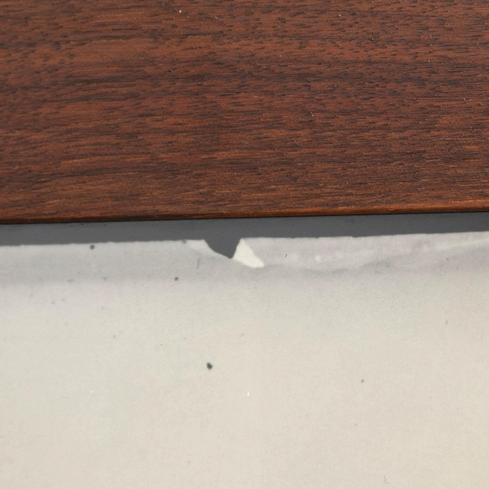 Denise Grünstein, "Out of focus camels" 1999.