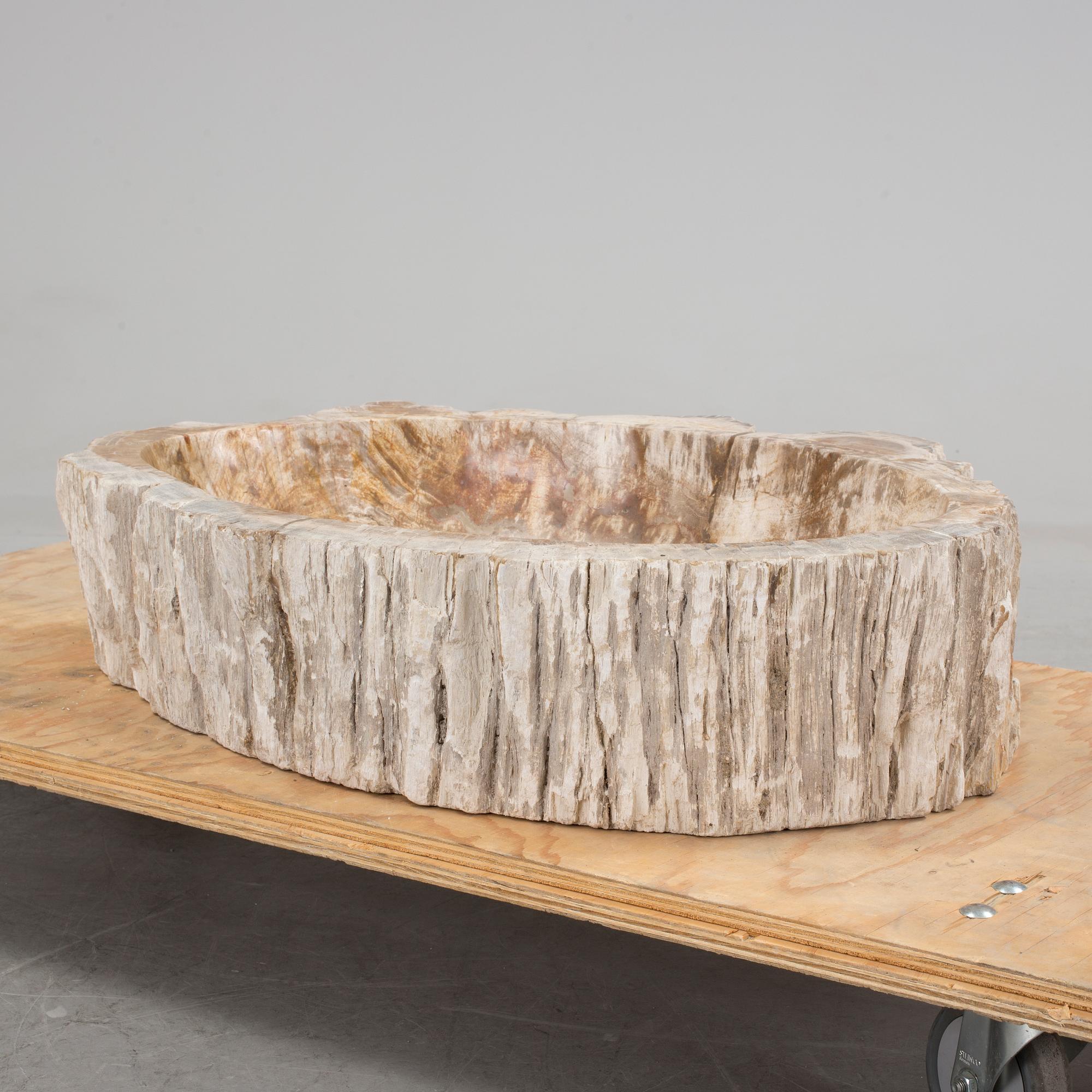 HANDFAT, fossil av förstenat trä.