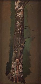 950A. Ferdinand von Wright, Study of a Birch tree; pencilstudies of tree trunks (verso).