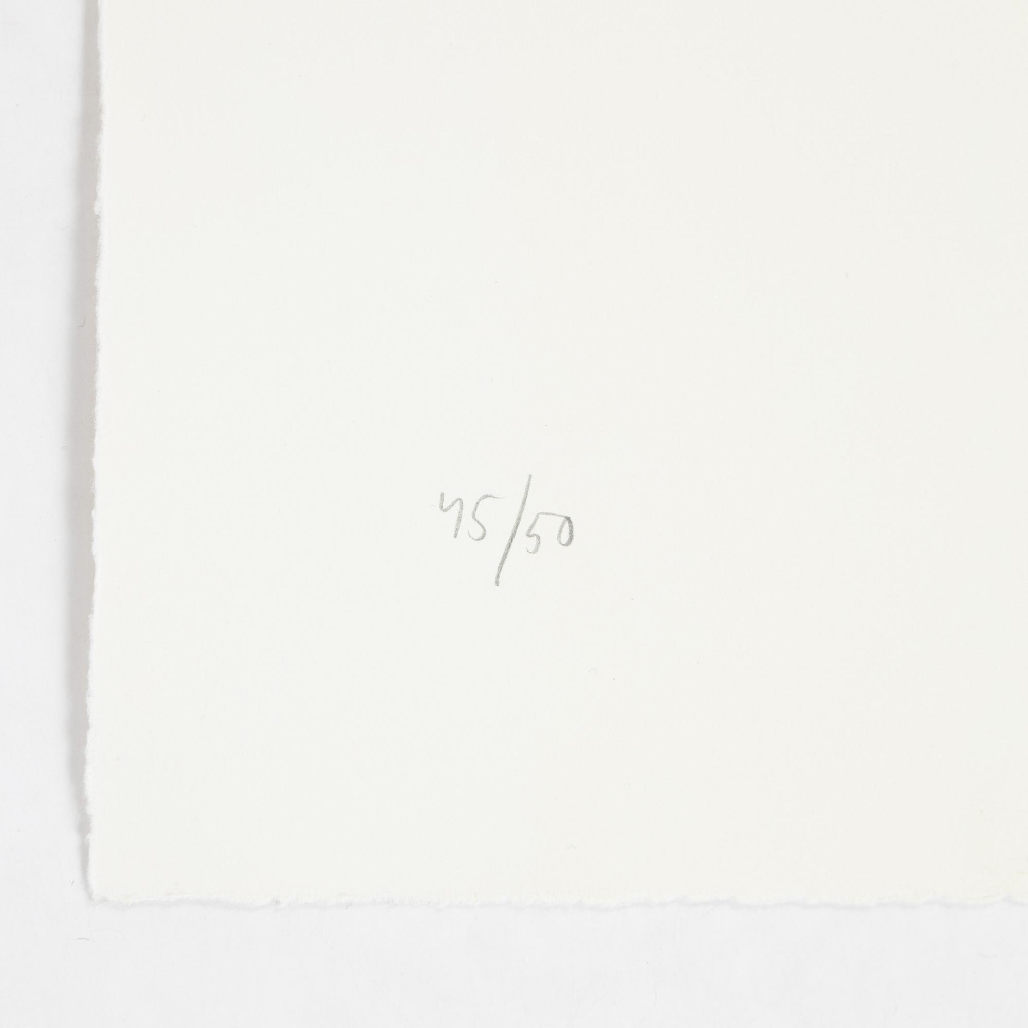 Jan Håfström, etching in colours, 2020, signed 45/50.