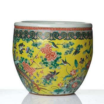 A large yellow ground '100 birds' fish basin, Qing dynasty, 19th century.
