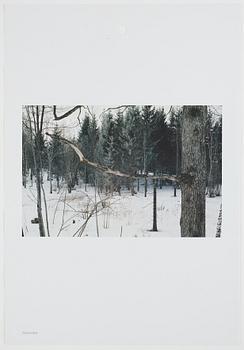 ANDREAS ERIKSSON, portfolio. Signed AE inside the box and numbered 18/250.