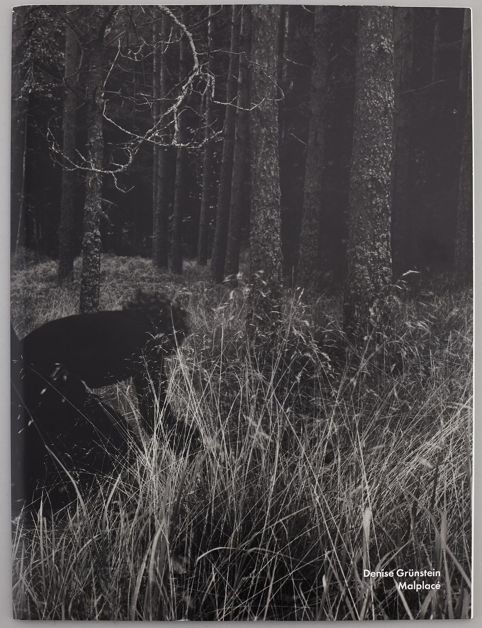 FOTOLITTERATUR, 4 st, svenska fotografer Wolff, Grünstein, Ehrs, Keller.