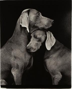 William Wegman, "Friends".