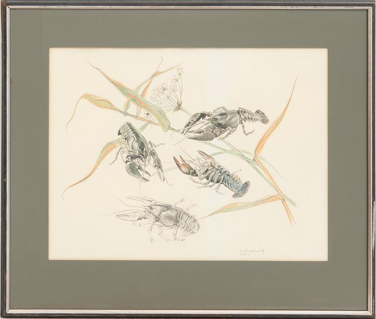 Gunnar Brusewitz, crayfish.