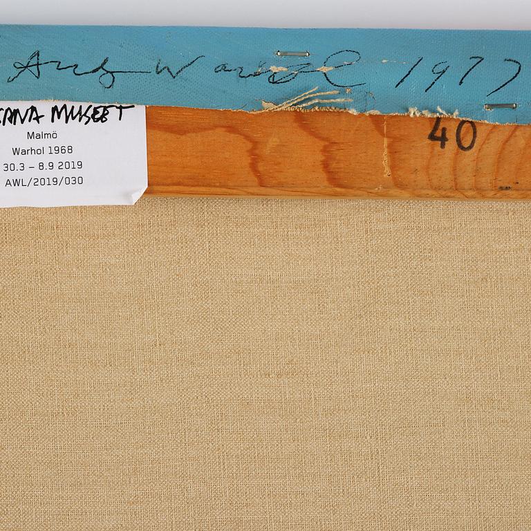 Andy Warhol, Scandinavian Beauty II.