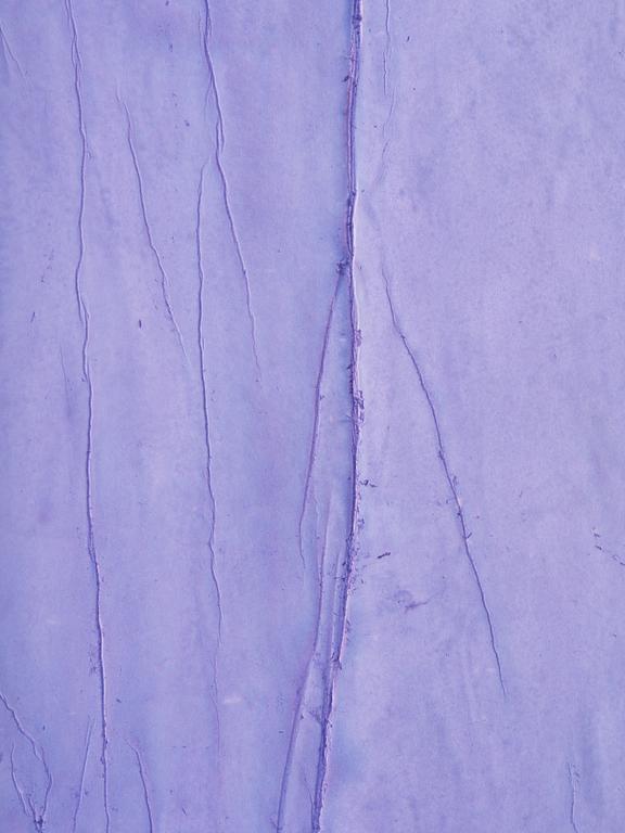 Patrick Hill, "Lavandula".