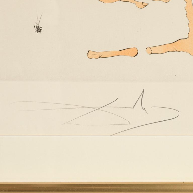 Salvador Dalí, torrnål kolorerad med stencil, 1975, signerad 33/300.