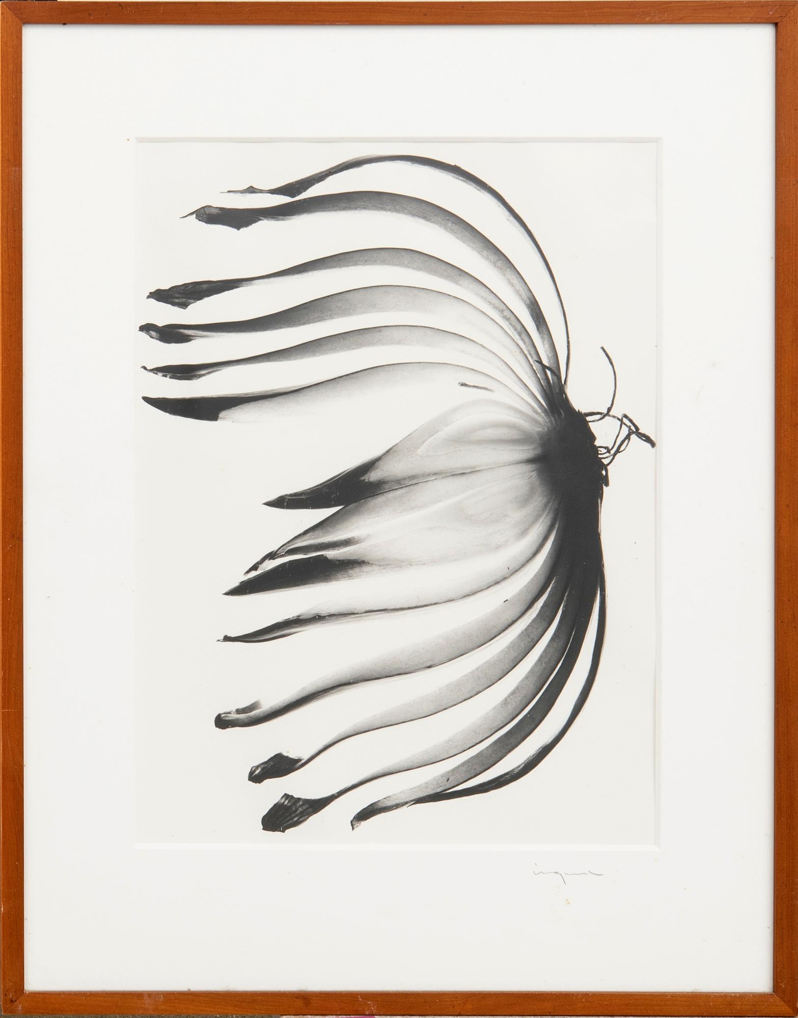 Ingvar Eriksson, photographs 3 pcs Untitled.