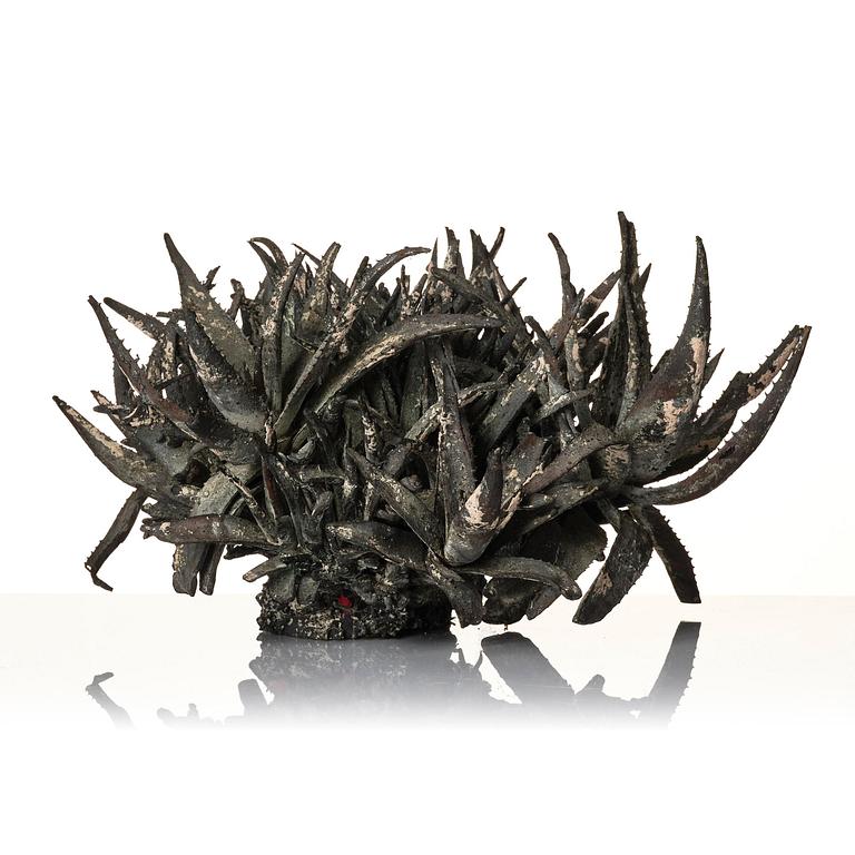 Roland Persson, "Aloe Vera".