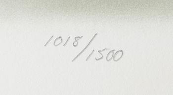 Yrjö Edelmann, "Packed blue and grey heaven".