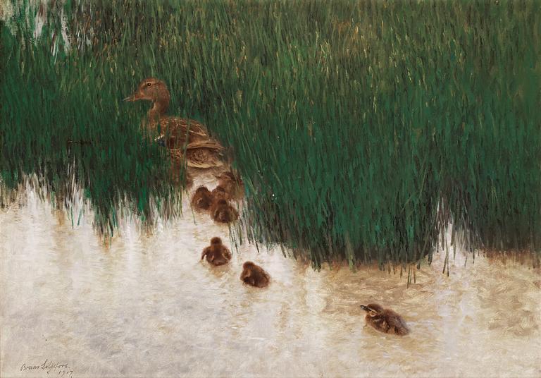 Bruno Liljefors, Mallards amongst reeds.