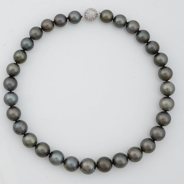 A cultured Tahiti pearl necklace.