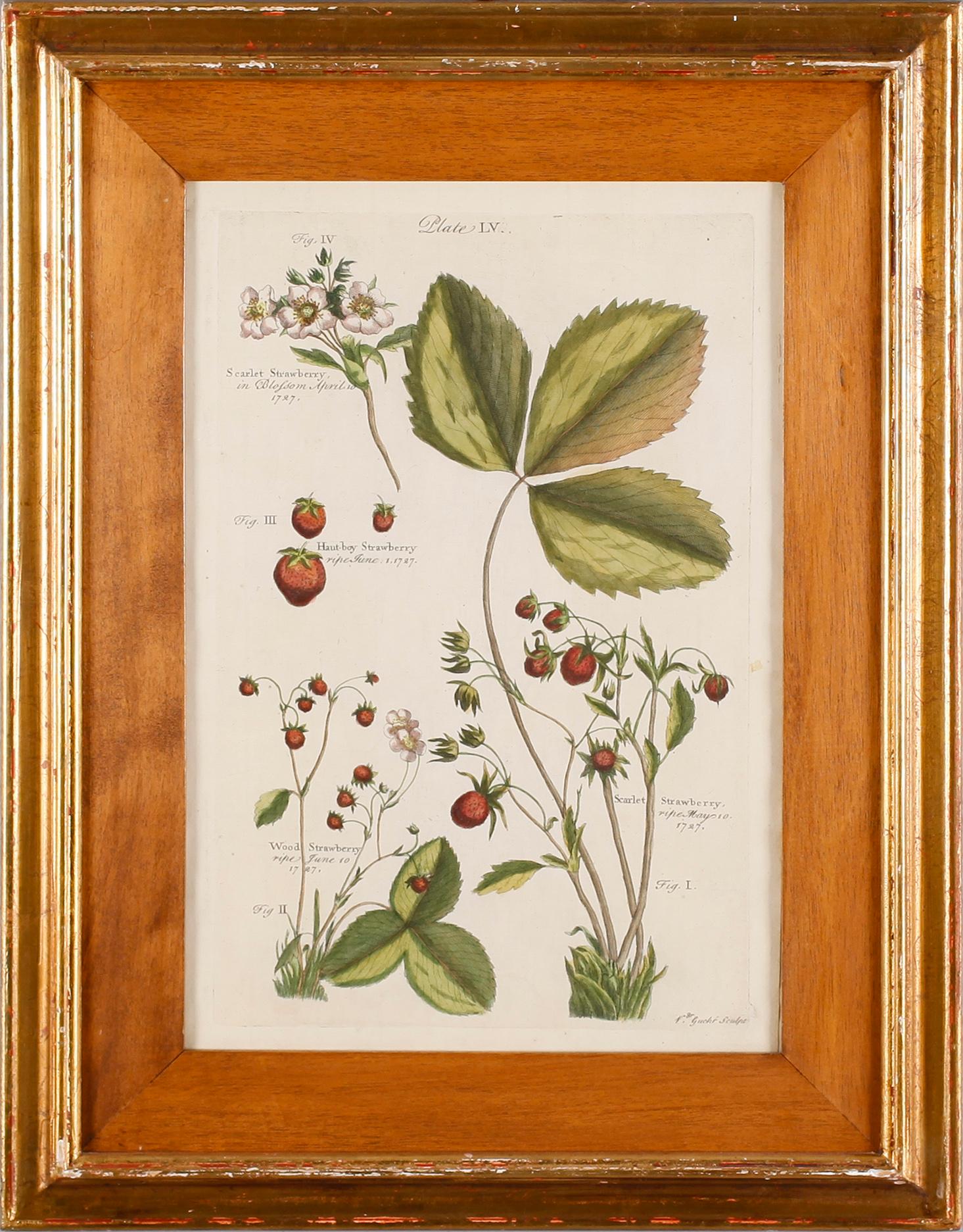KOPPARSTICK, 4 st, efter B Langley, kolorerade, 1700-/1800-tal.