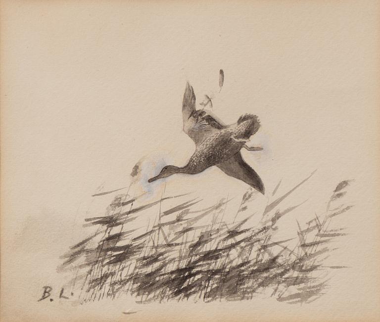 Bruno Liljefors, Gräsand.