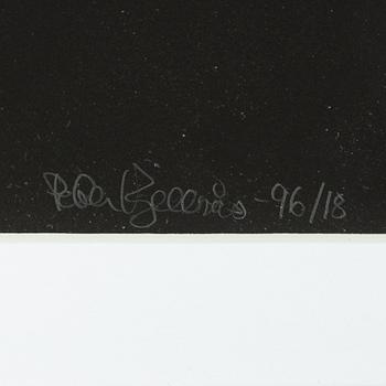 Peter Kjellerås, "Lou Reed, Stockholm", 1996.