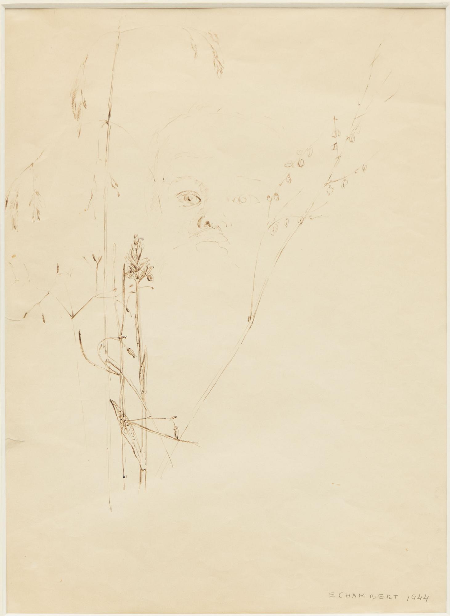 Erik Chambert, "Gräs II", Plant Study, 2 pcs.