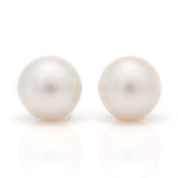 A pair of cultured pearl earrings.