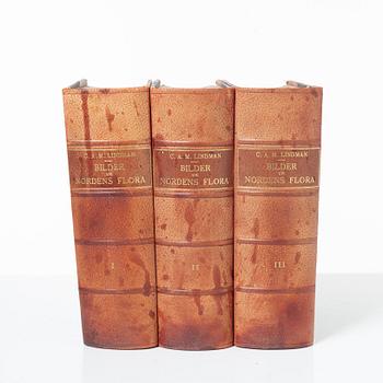 C.A.M Lindman, Bilder ur Nordens Flora, 3 band. Wahlström & Widstrand, 1922-1926.