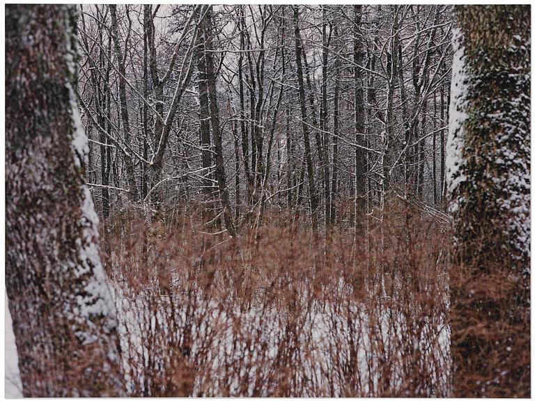 Andreas Eriksson, "In Between".