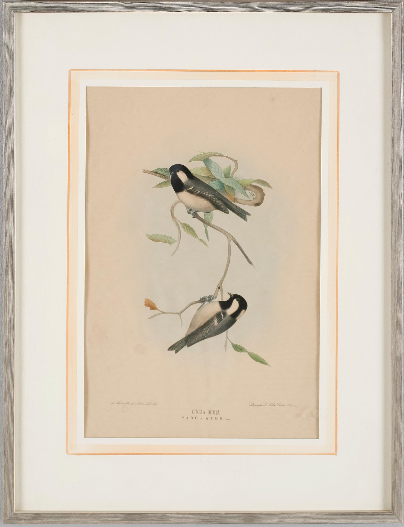LITOGRAFISKA TRYCK, 4 st, 1900-talets första hälft.