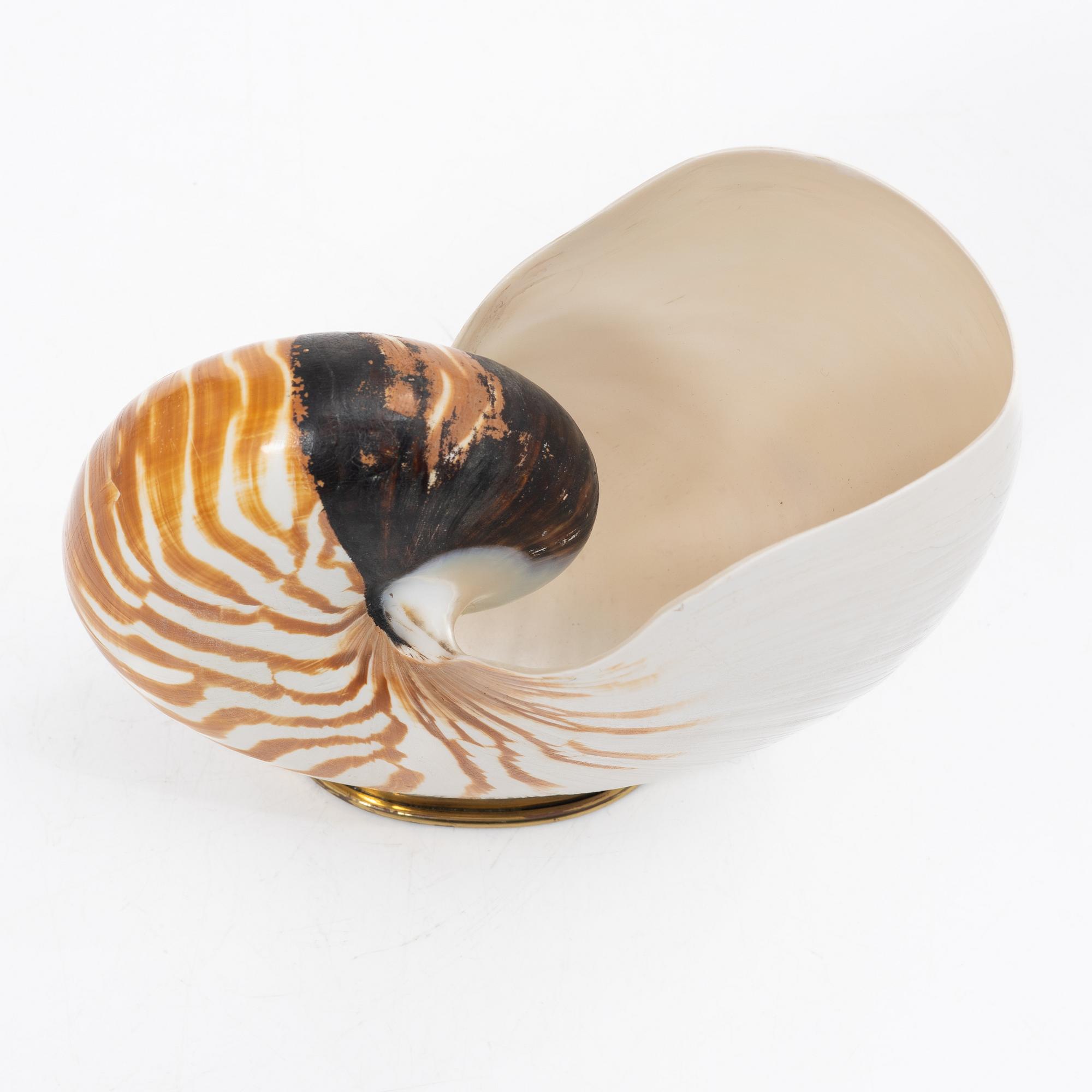 Firma Svenskt Tenn, shells 4 pcs, including one Nautilus shell with a brass mount.