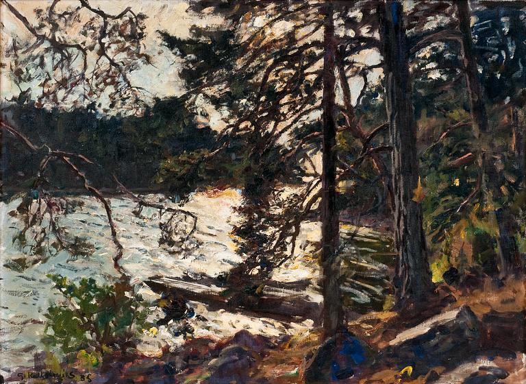Gottfrid Kallstenius, A FOREST TORRENT.