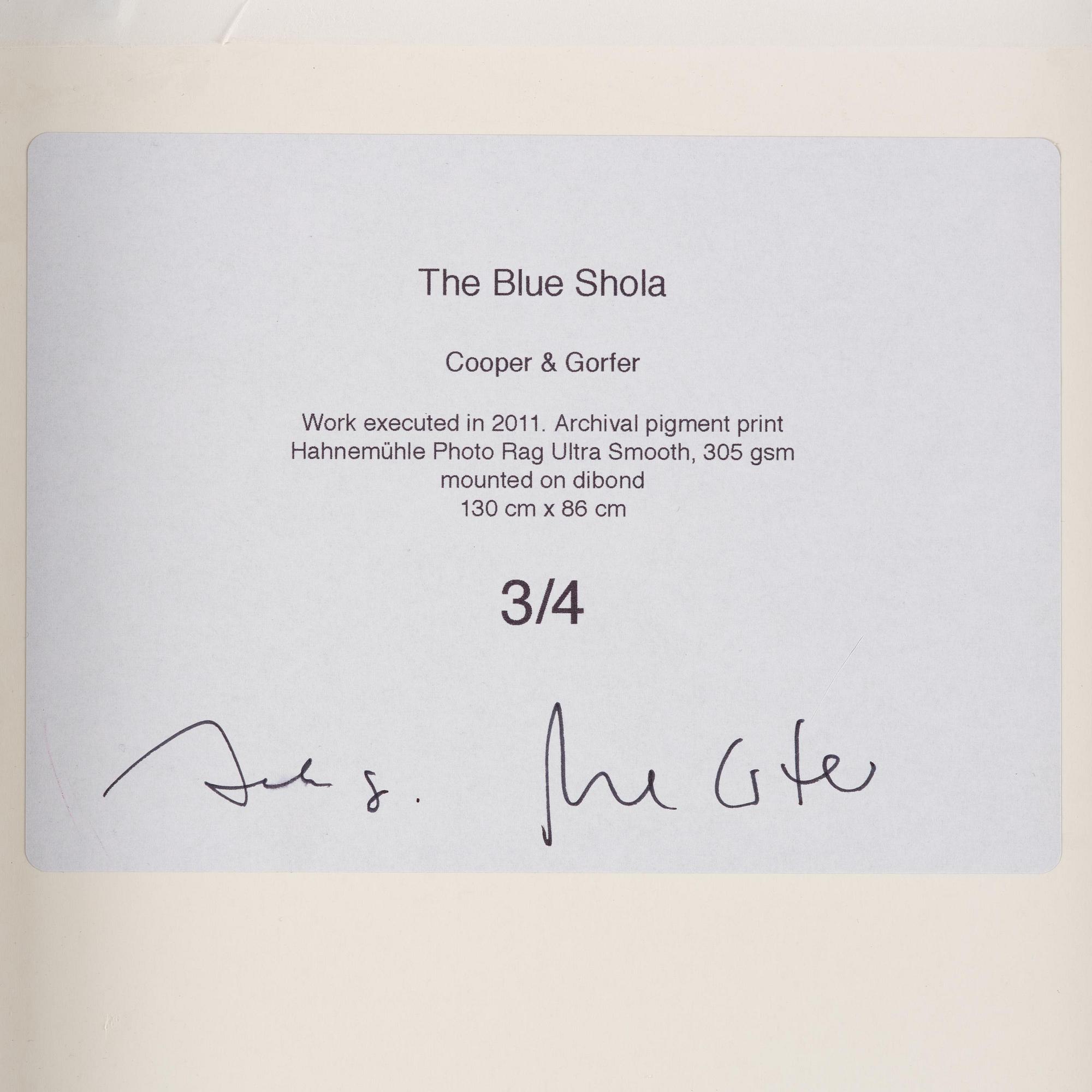 Cooper & Gorfer, "Blue Shola", 2011.