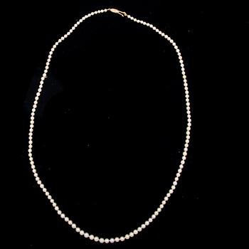 PÄRLCOLLIER, graderat, förgyllt silverlås. 1900-talets mitt.
