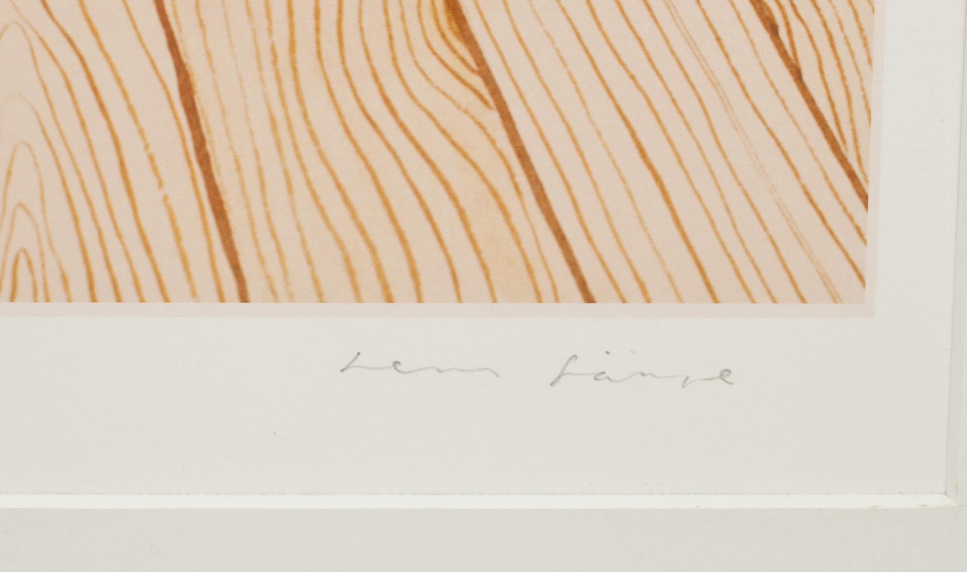 JENS FÄNGE, färgoffset med collage, signerad och numrerad 53/450.