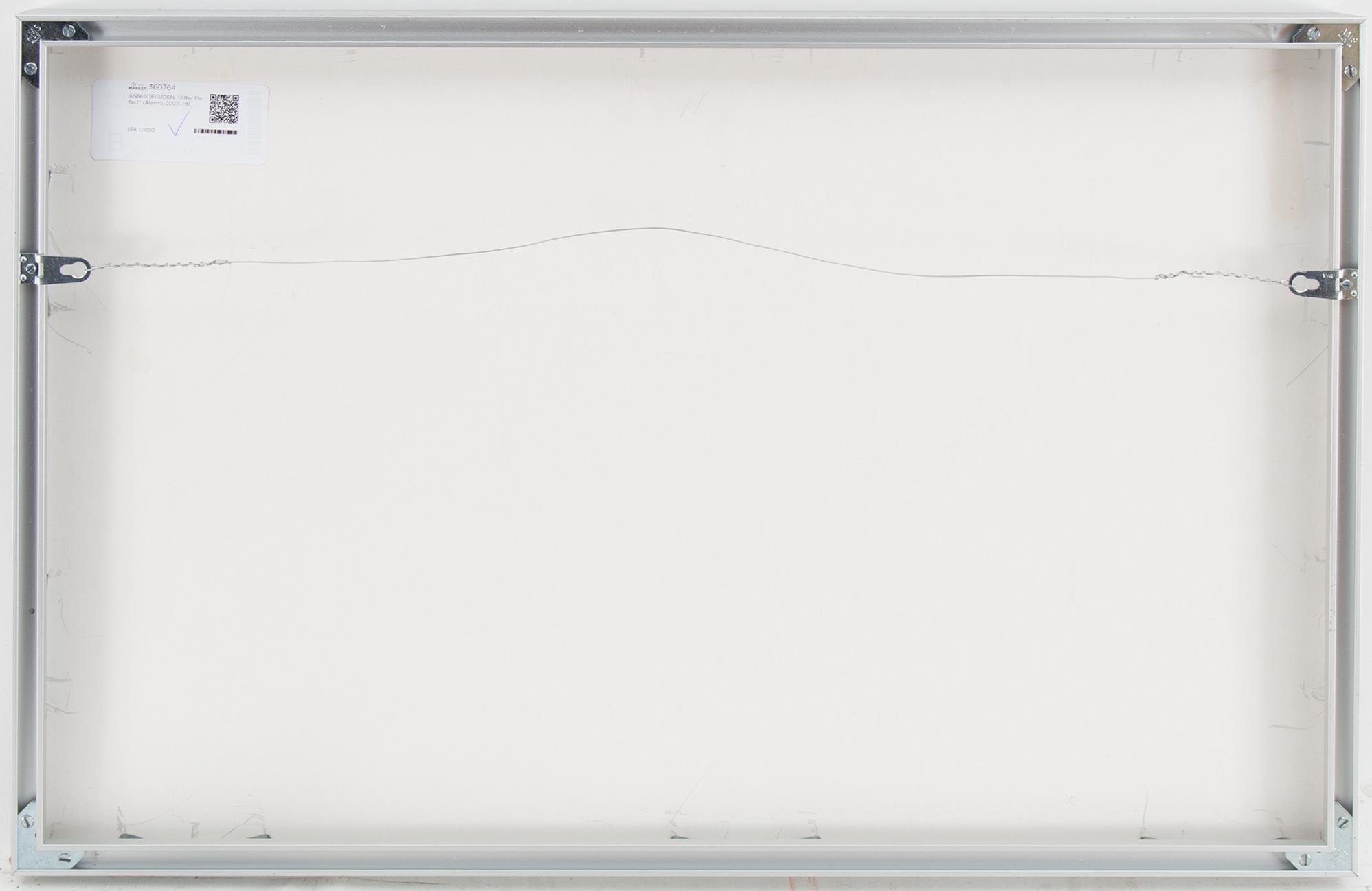 Ann-Sofi Sidén, "After the fact" (Alarm), 2007.