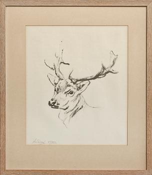 Arvid Knöppel · ARVID KNÖPPEL, litografi, sign o nr 85/250.