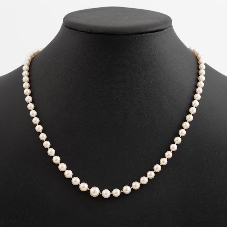 Pärlcollier med doserade odlade pärlor, lås  silver.