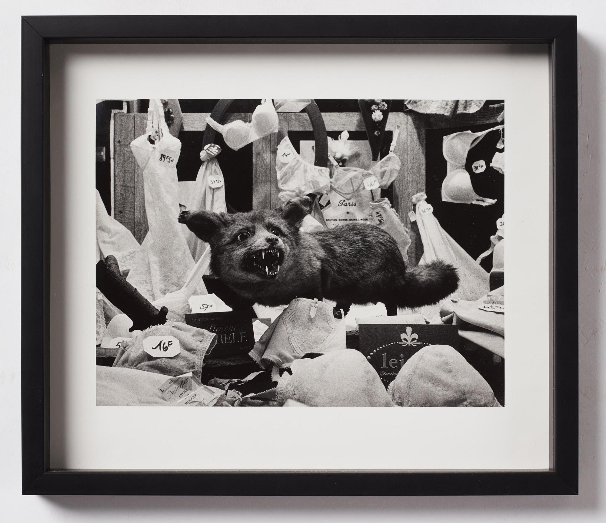 Christer Strömholm, ”Räven på Rue de Rennes”, sent 1970-tal.
