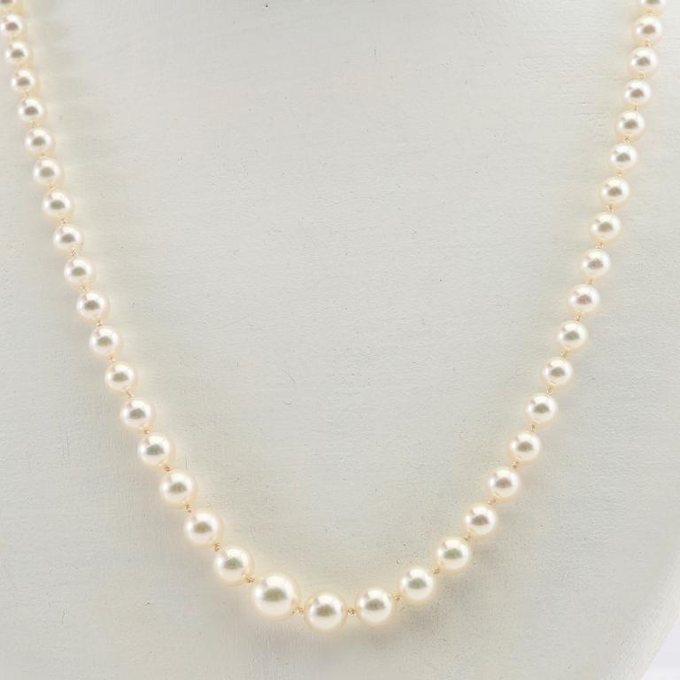 Necklace and bracelet of cultured pearls.