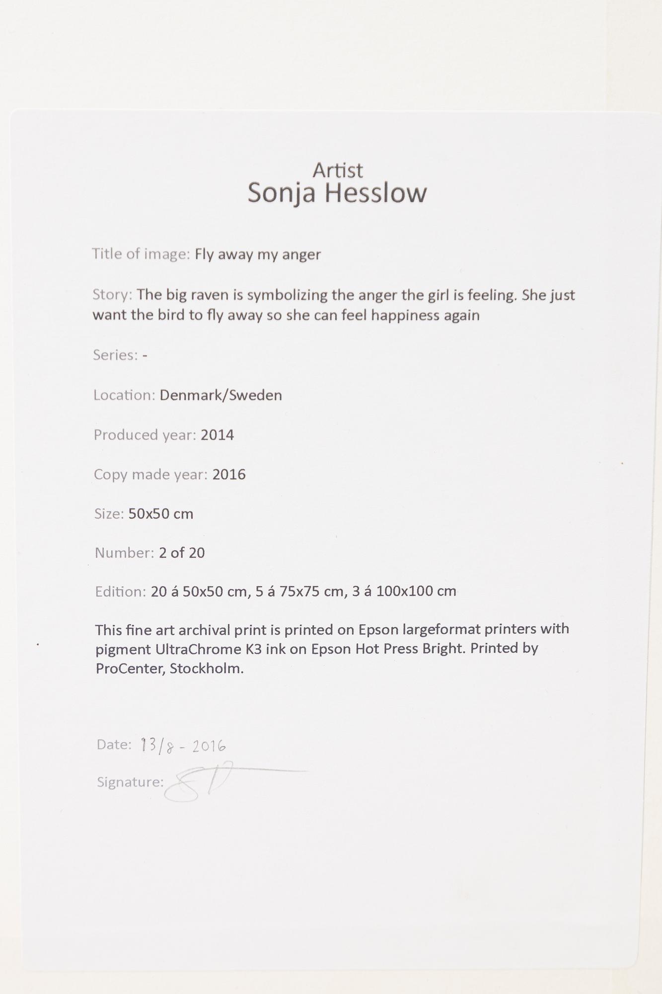 Sonja Hesslow, "Fly Away My Anger",2014.