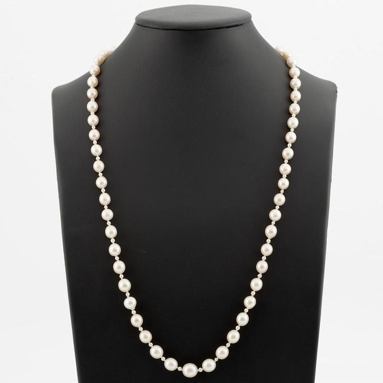 A cultured pearl necklace.