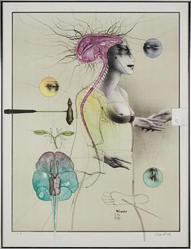 Paul Wunderlich · PAUL WUNDERLICH, färglitografi, sign, épreuve d'artiste.