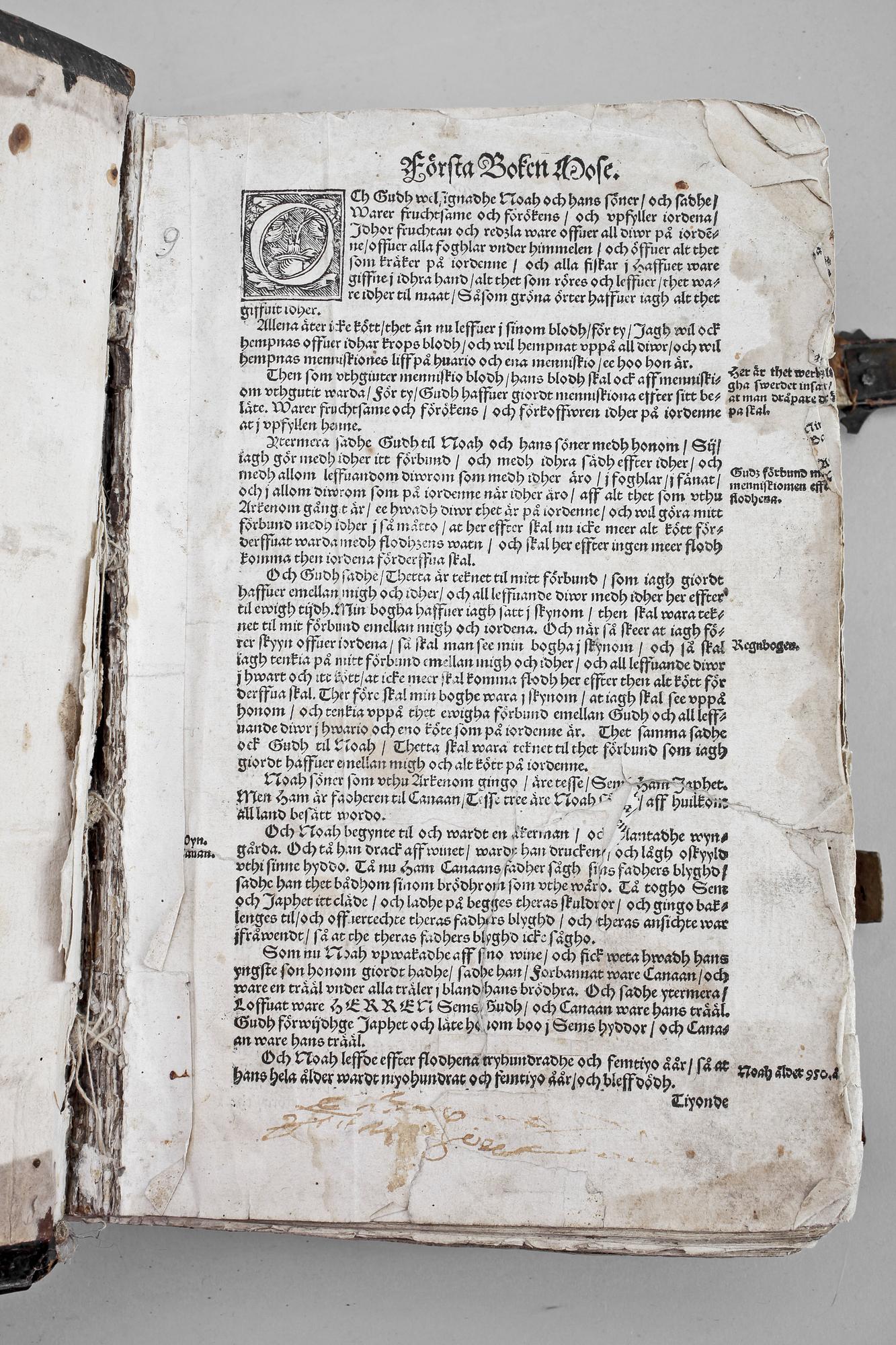 Gustav Vasas bibel "Thet är all then heligha scrifft, på Swensko...".