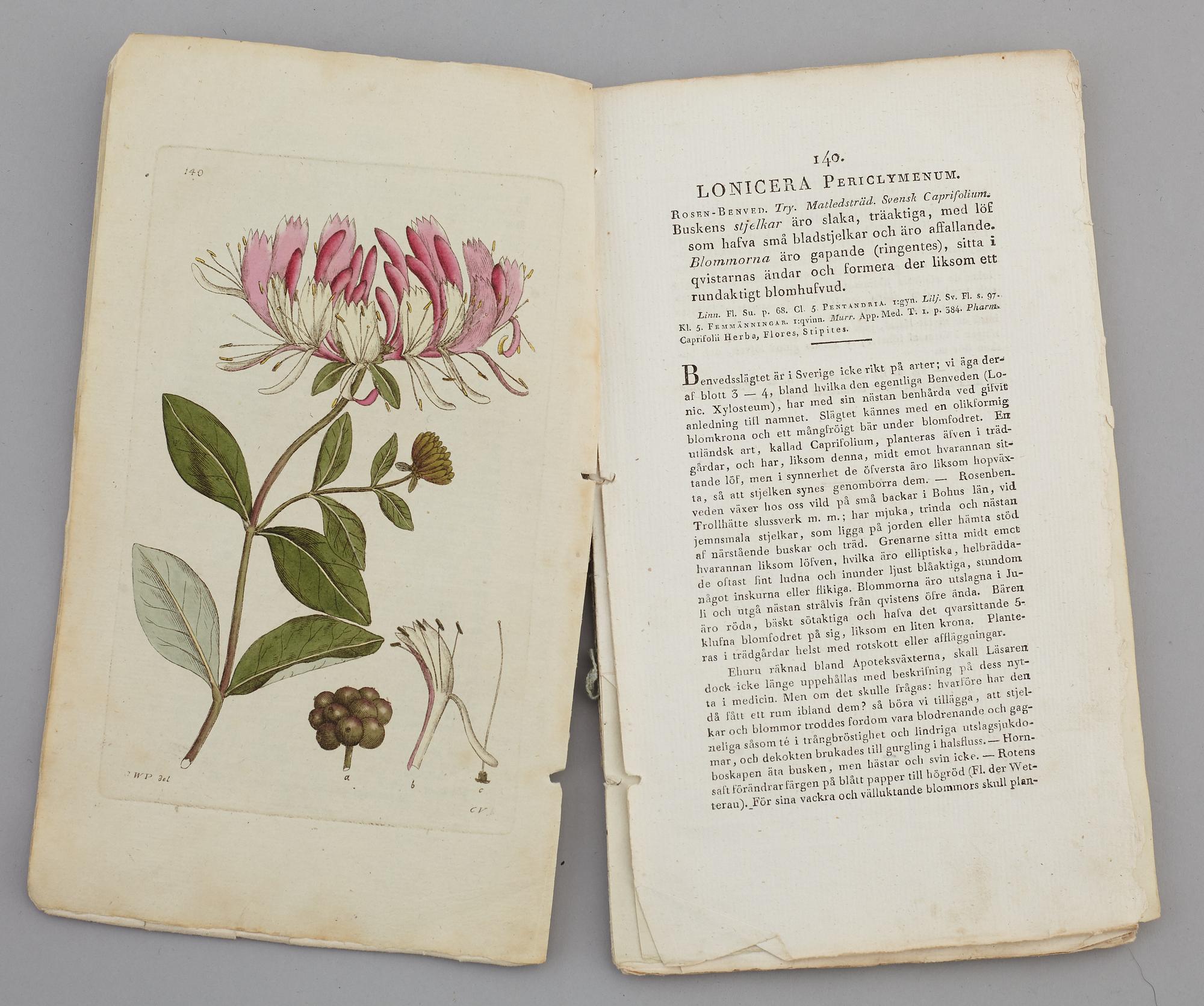 JOHAN WILHELM PALMSTRUCH, "Svensk Botanik, vol I-V. 1803-1805.