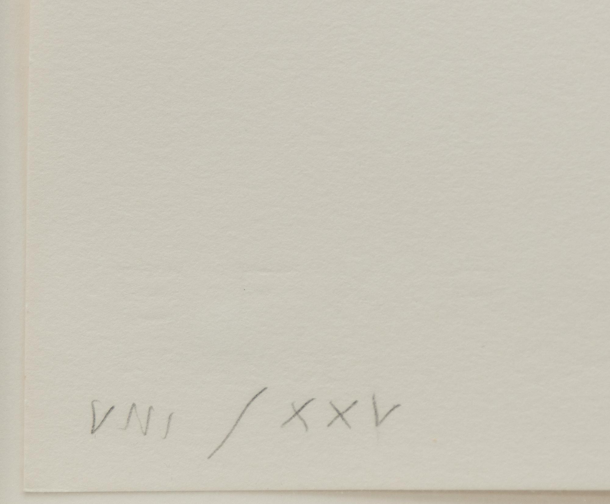 Matti Kujasalo, Untitled.