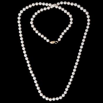 A PEARL NECKLACE, Tiffany & Co., cultured Akoya pearls, clasp 18K gold.