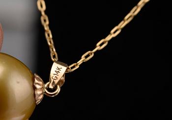A PENDANT, South sea golden pearl 12,2 mm. 14K gold.