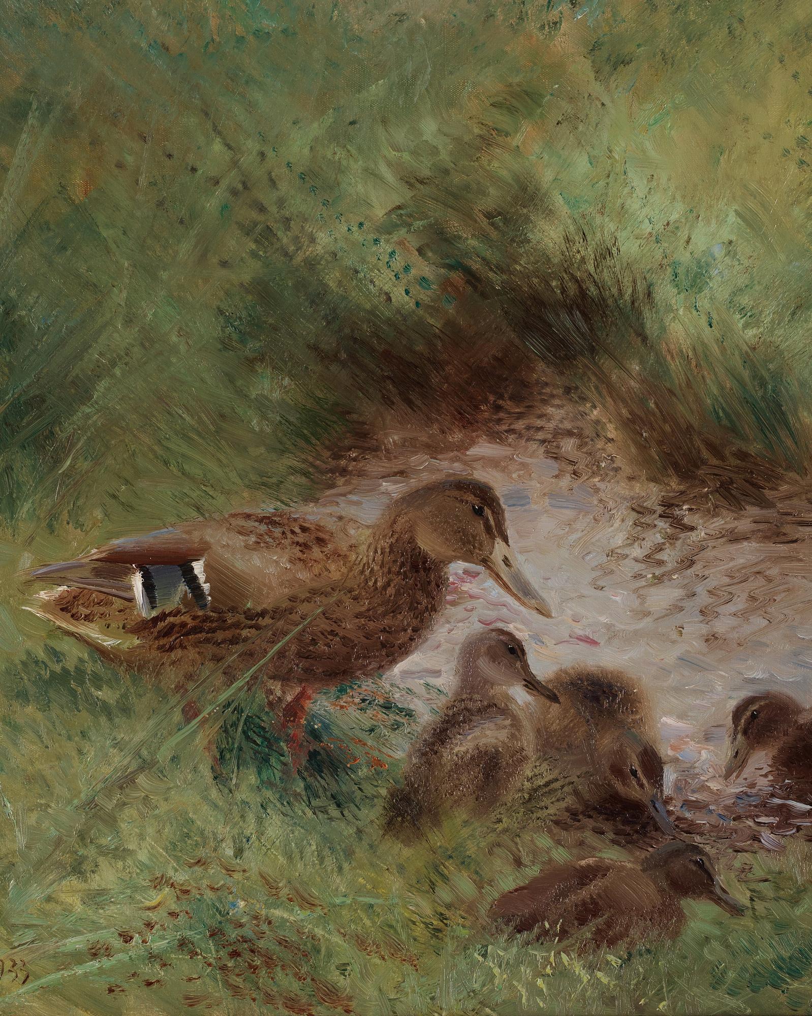 Mosse Stoopendaal, Mallard with ducklings.