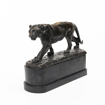 Johan Axel Wetterlund, Tiger.